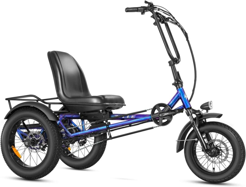 ZYCLE Z500 Electric Tricycle