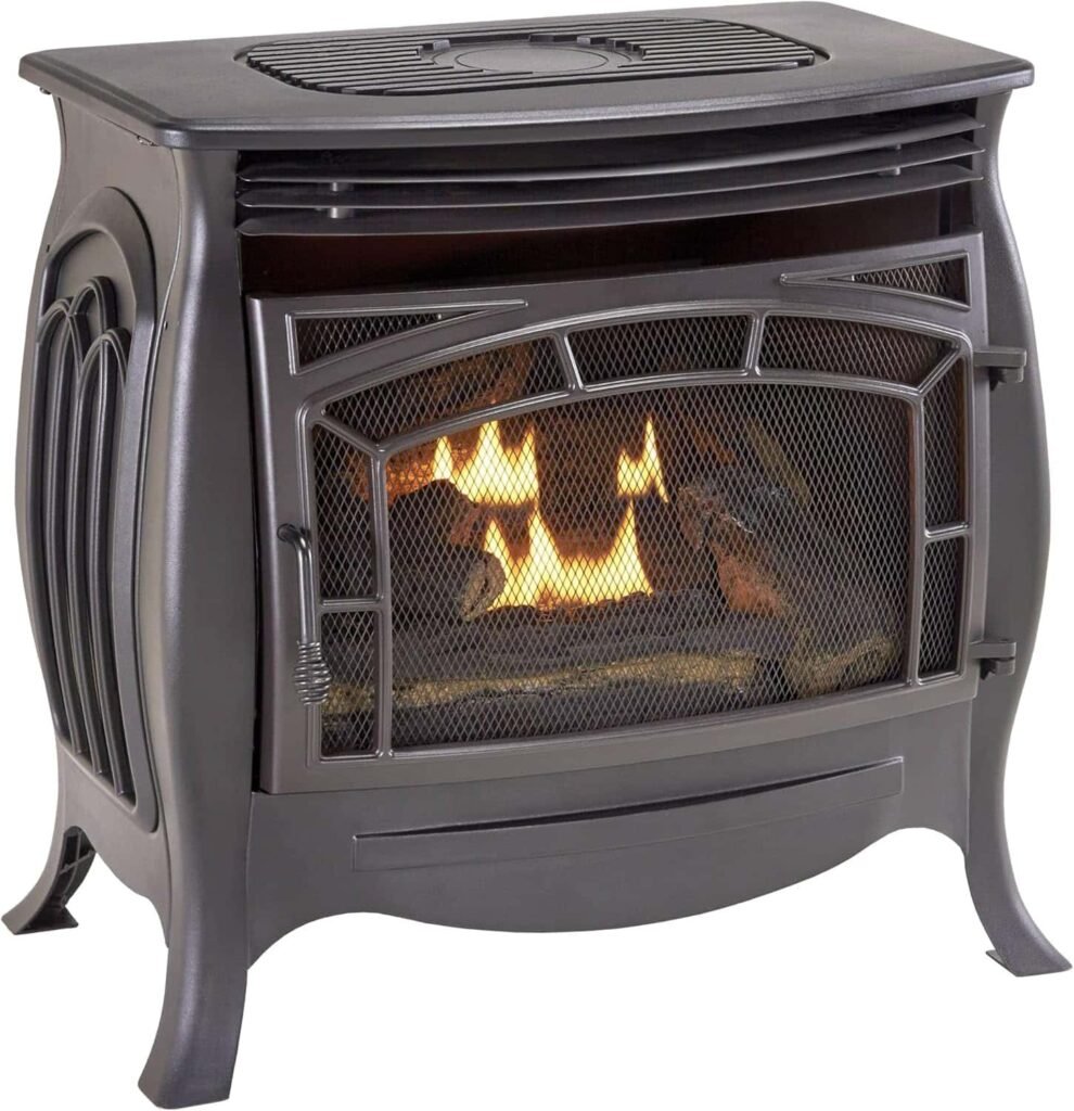Duluth Forge Dual Fuel Ventless Gas Stove