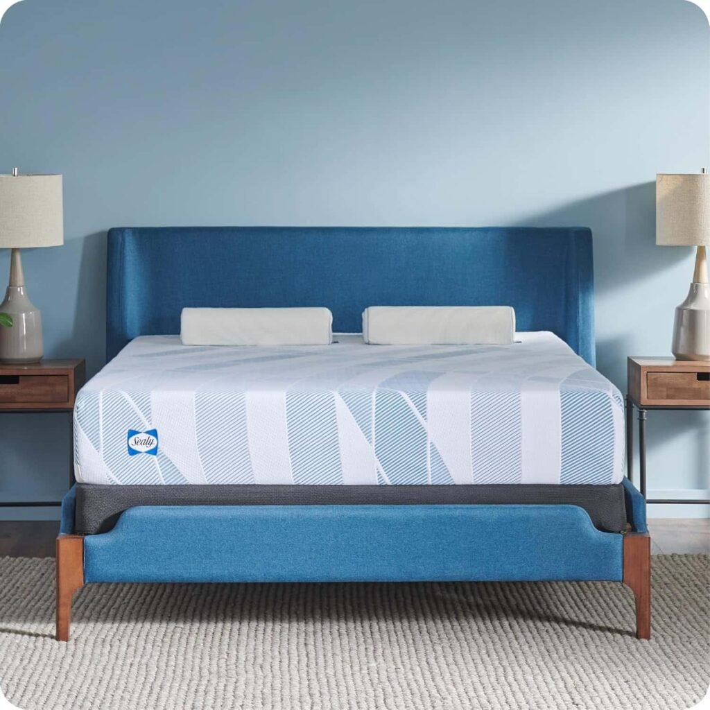 Sealy Dreamlife 10-Inch Foam Mattress-in-a-Box